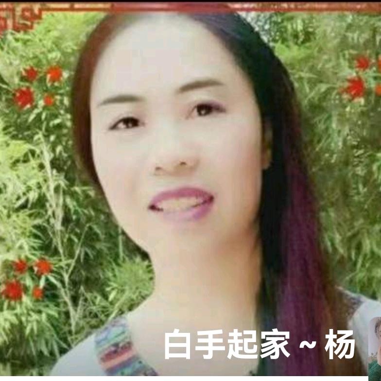 白手起家—杨