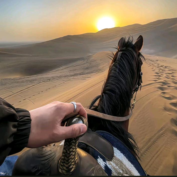 Freedom🐎