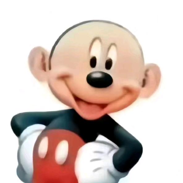 mir