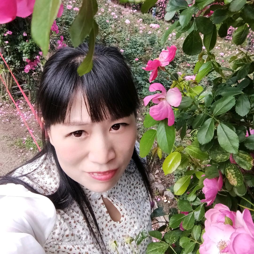 开心果