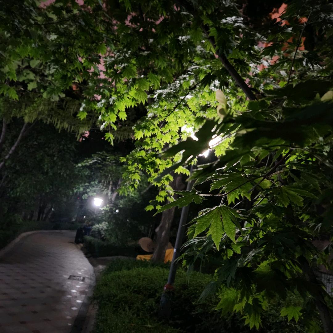 庄河南洋 汽车装饰