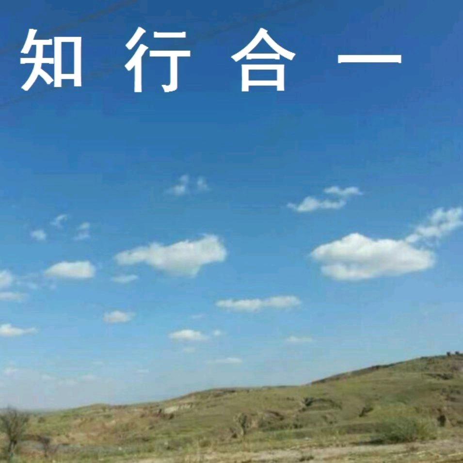 郑磊  三会全书