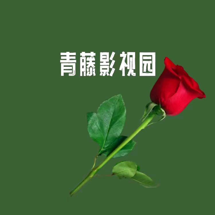 青藤🍎