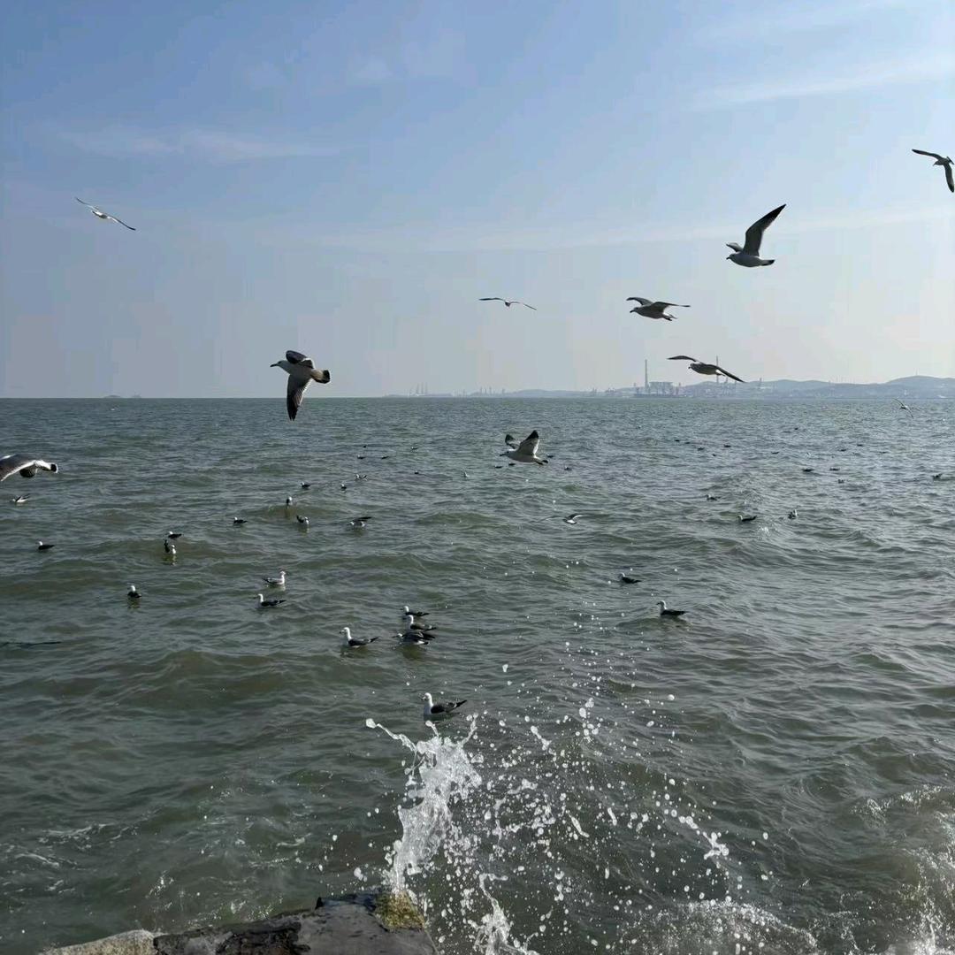 遗憾是人生常态。