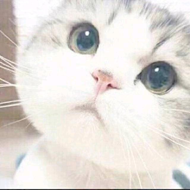 来自命运的权重