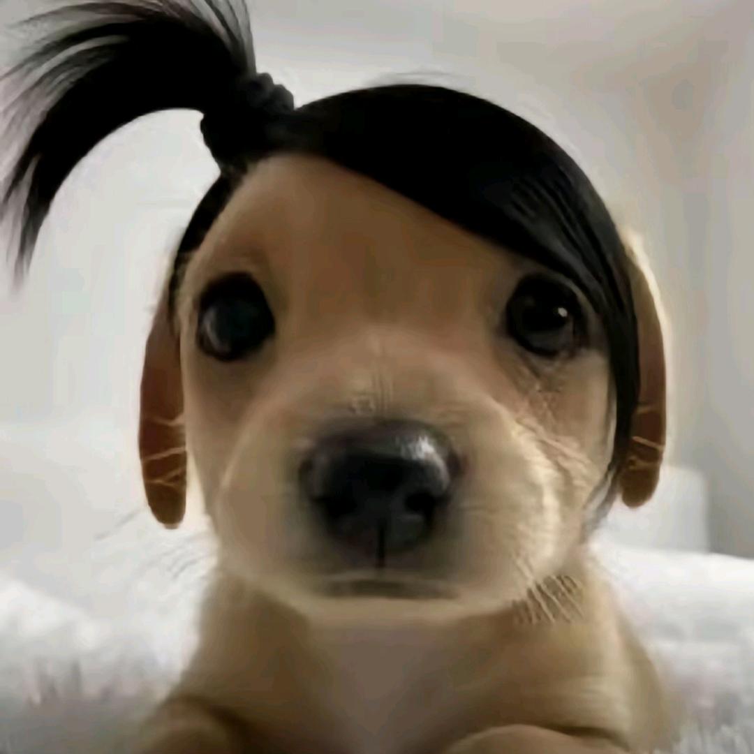 青苹果不甜-