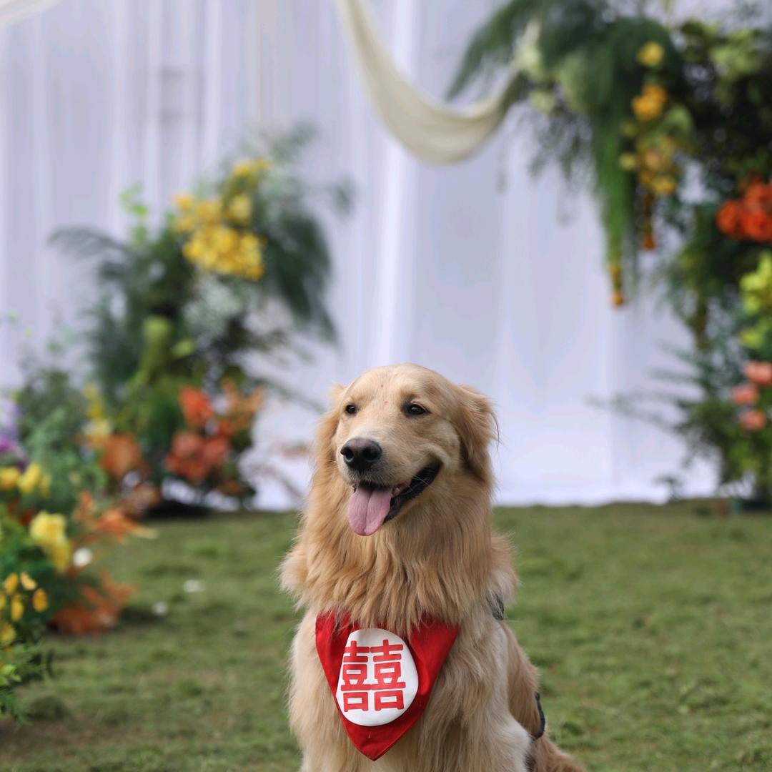 李想家的优选小铺