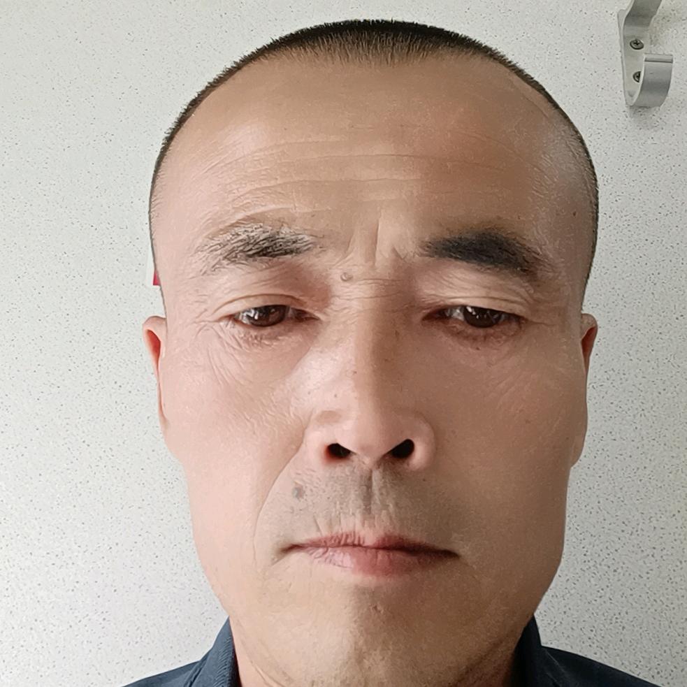 🌴鴻枫叶落🌴