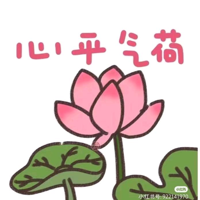 清禾（美加）
