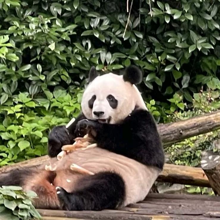 清风明月