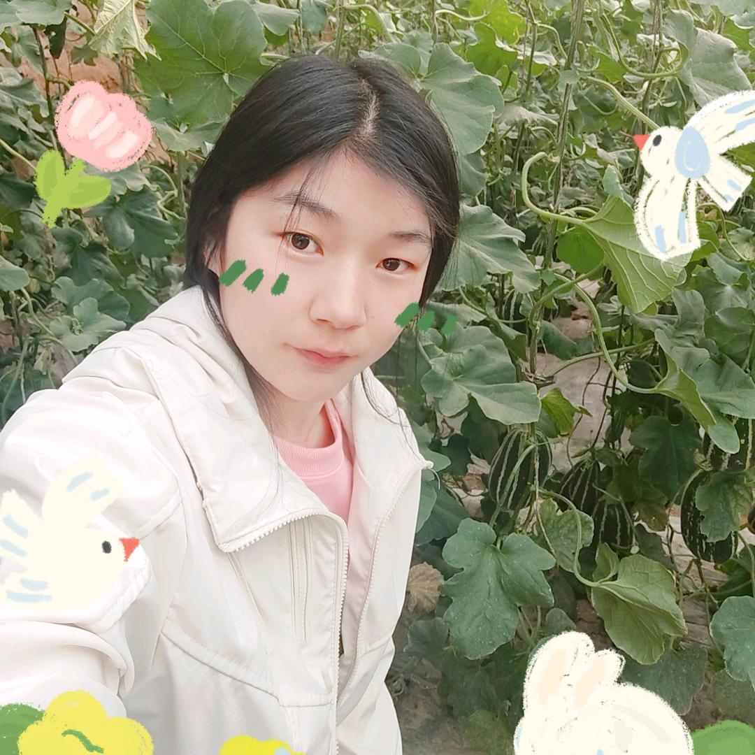 悦耳晨曲