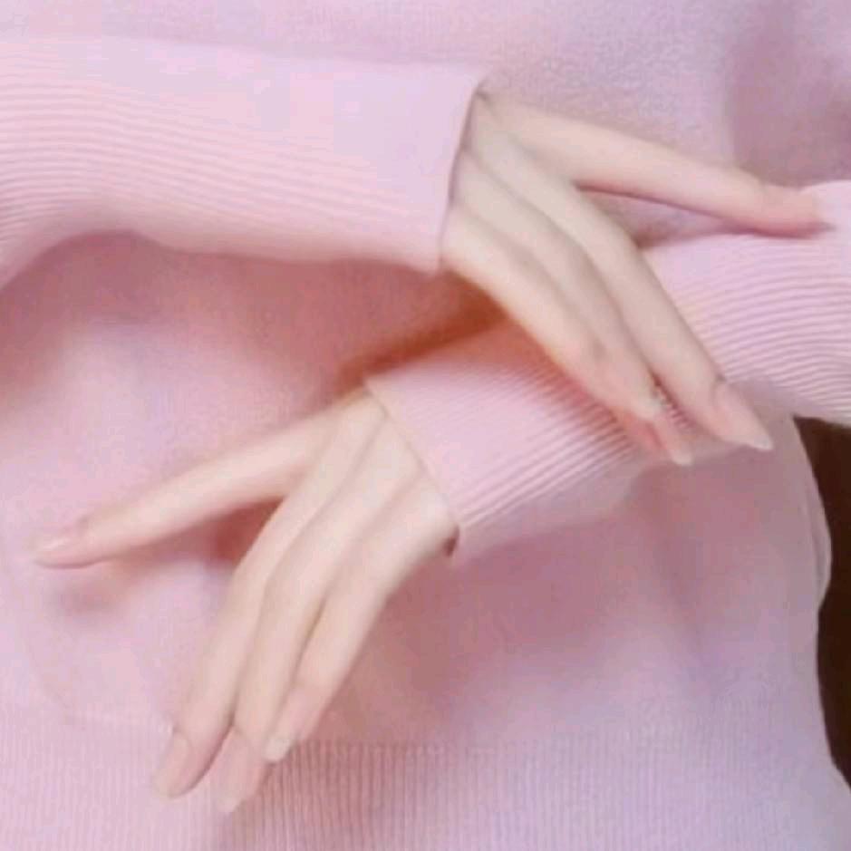 沙隽竹