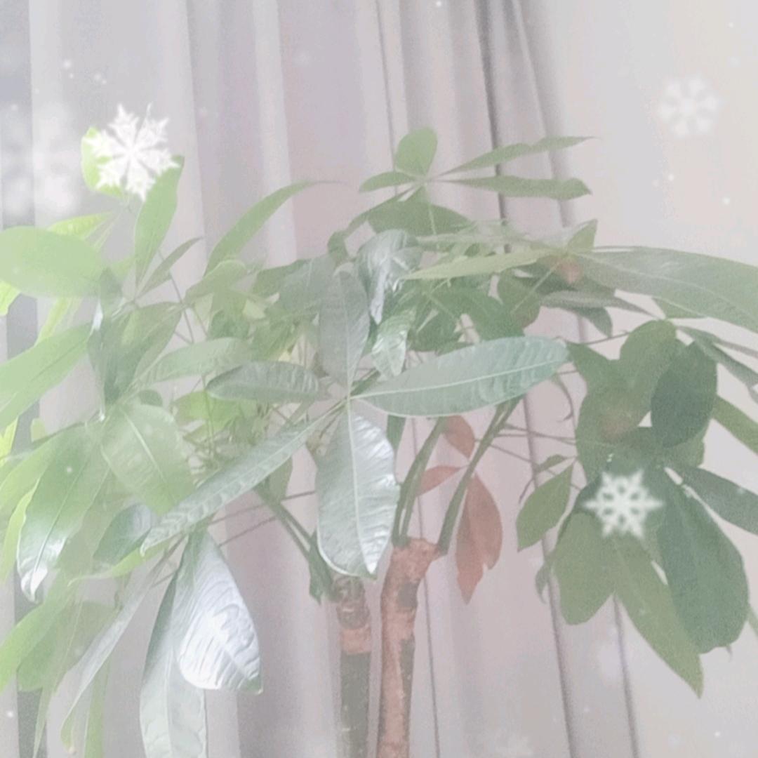 期盼