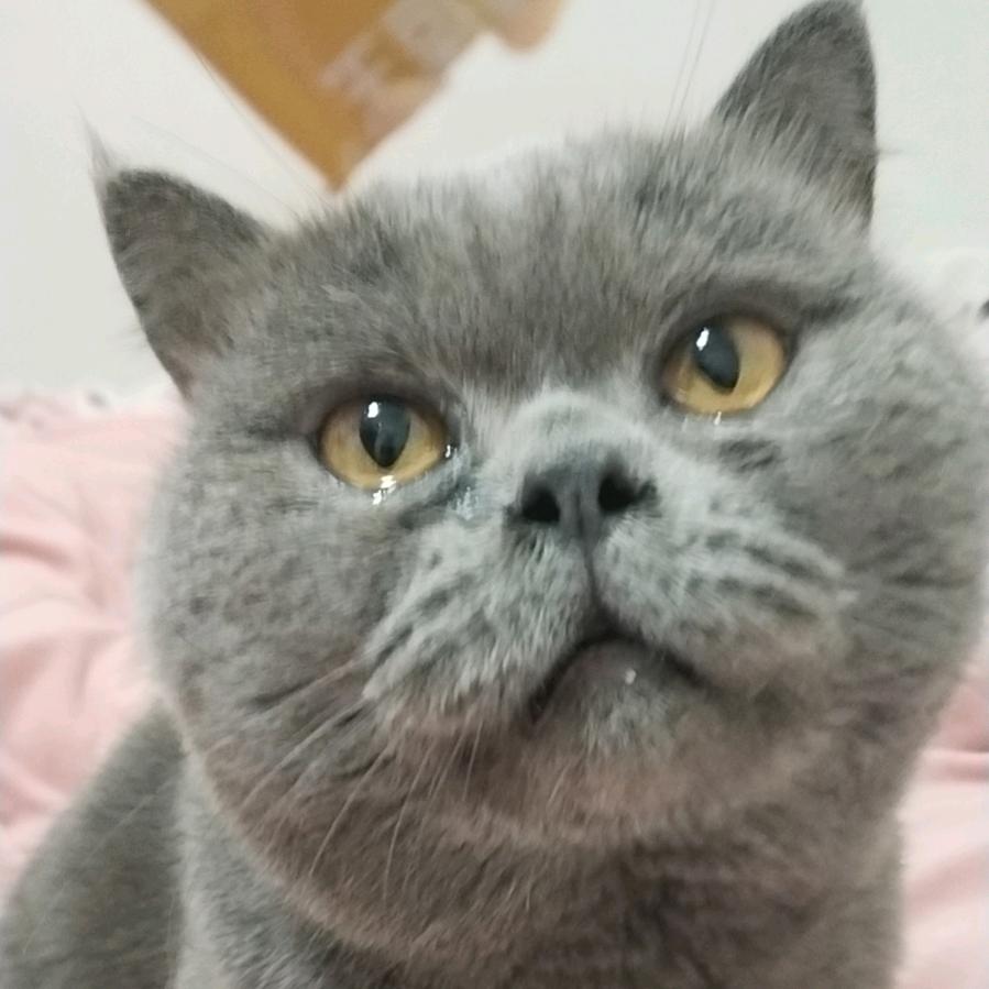 最冷不过人心