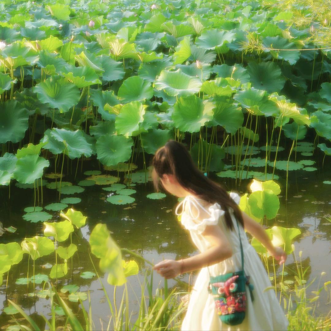 春夏六月🌿📷