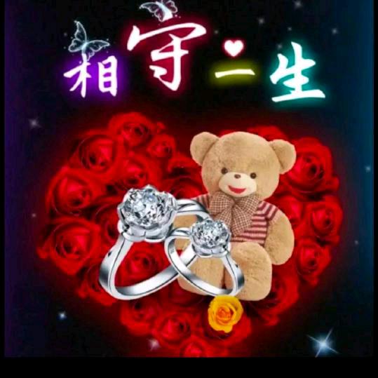 五斤猕猴桃🐻
