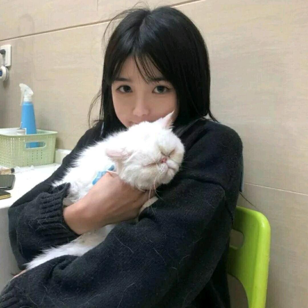 痴心绝对