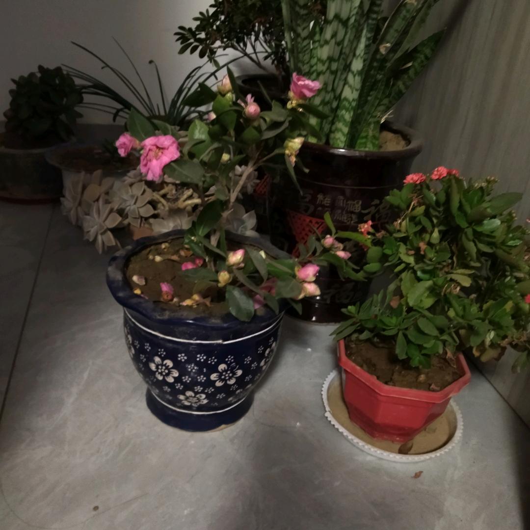 如梦