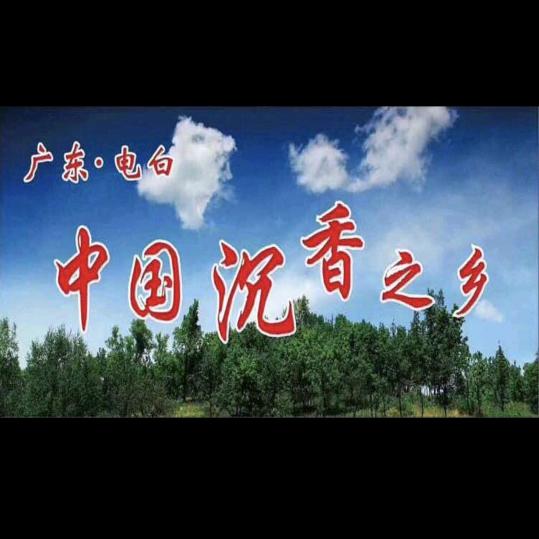老杨园林苗木场