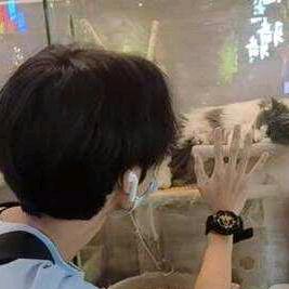 哥的世界你不懂