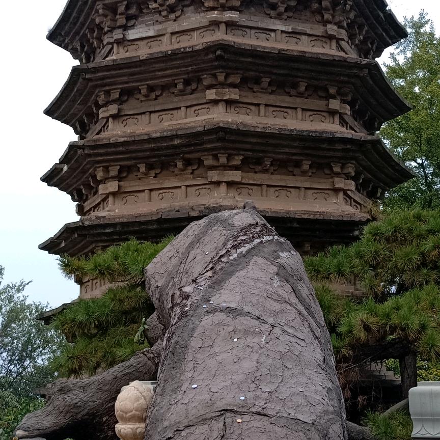 抖火一家亲