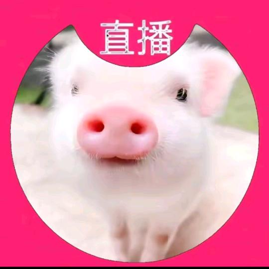 我在纽约打电话给你