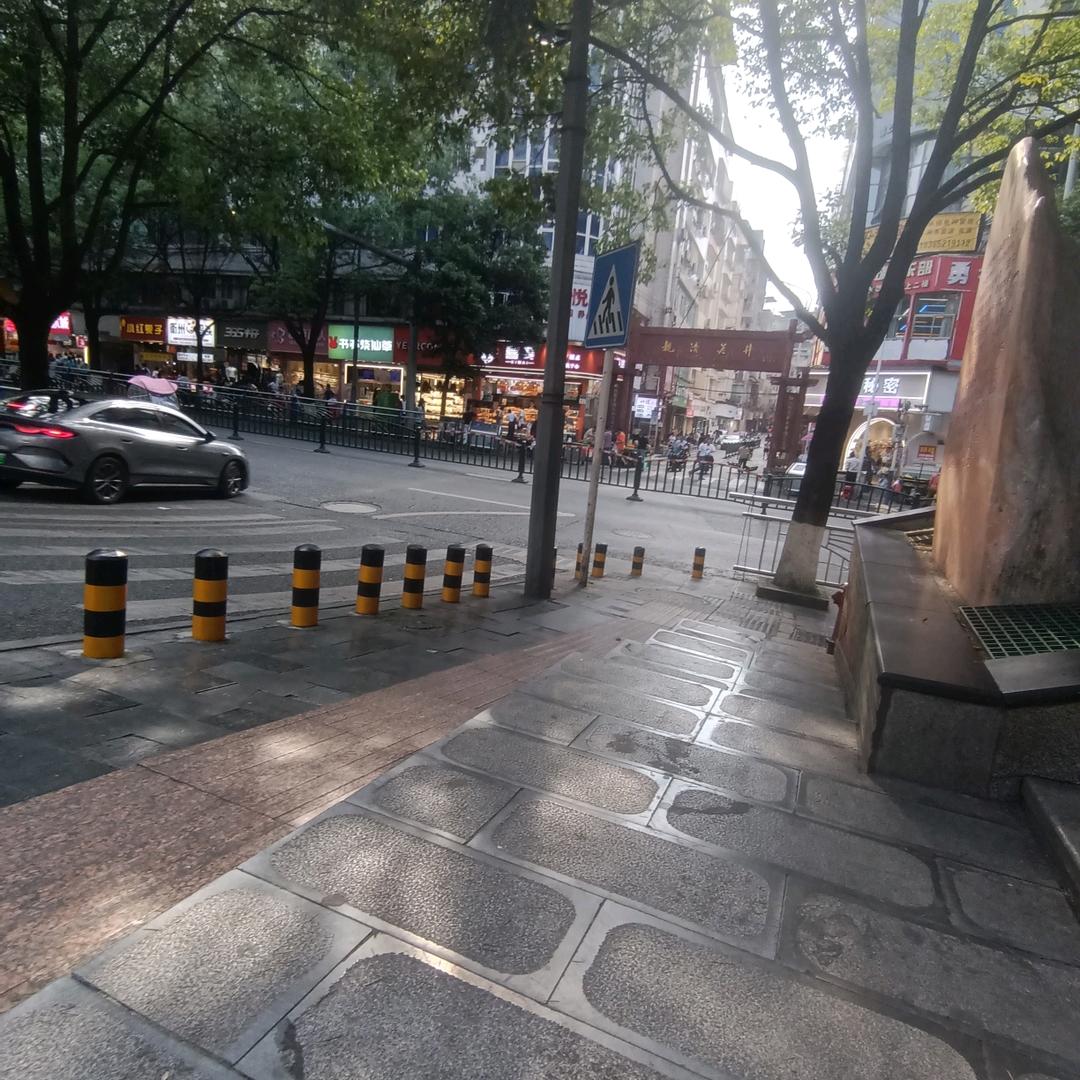 段艾情