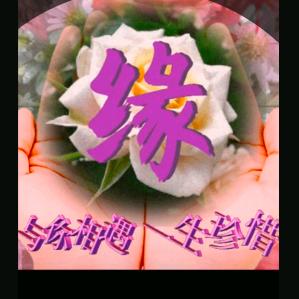 ❤️珍惜眼前芳美❤️