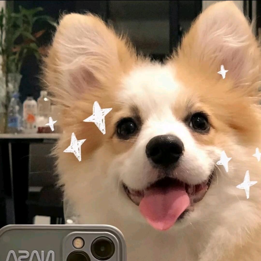 萧浩