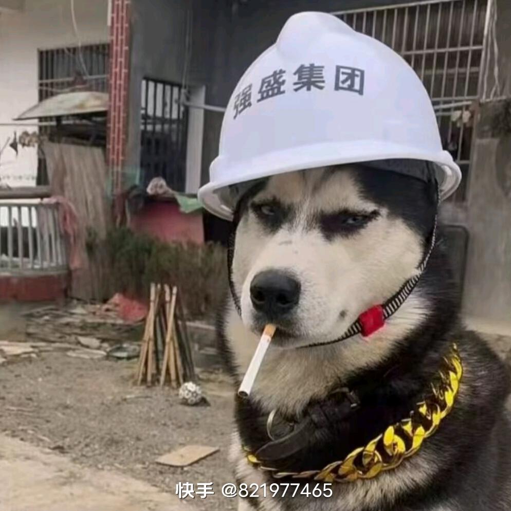 小样滴