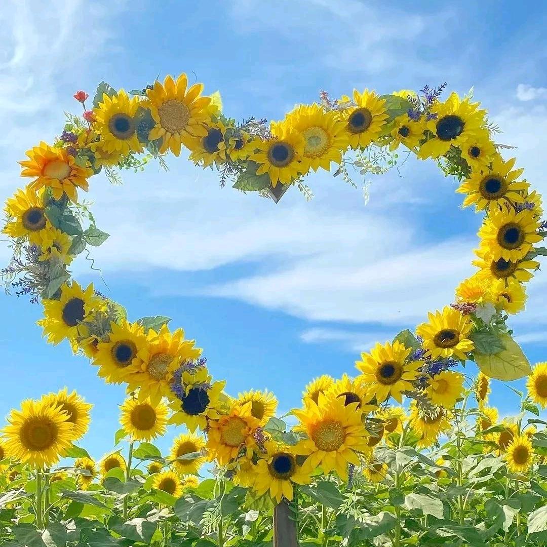 顺源副食品商店齐齐哈尔市金美电子商务有限公司哈哈直播号