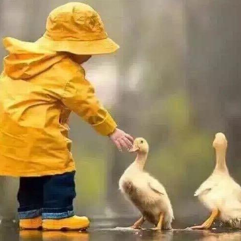 心岛只为某人等待