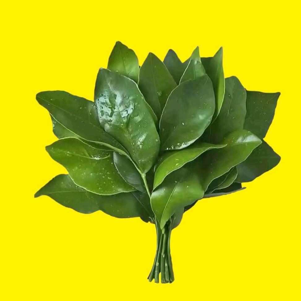 鸿恩😊