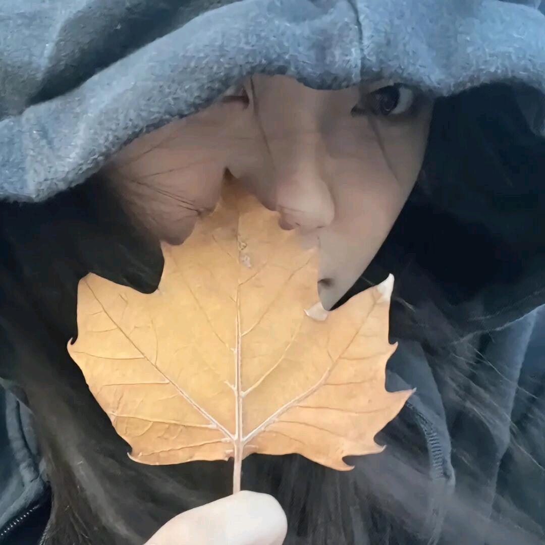 画句号