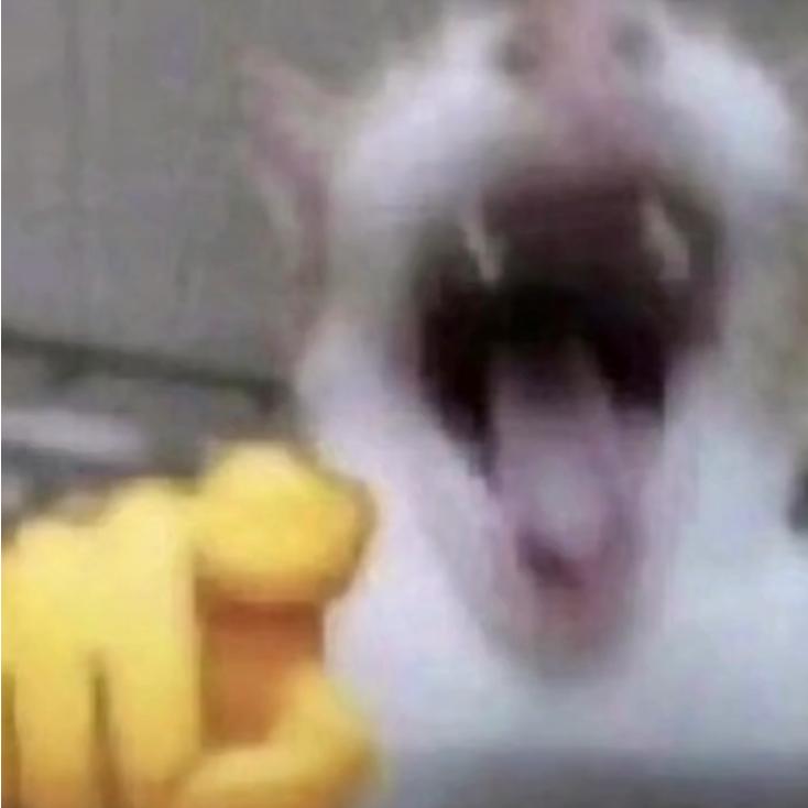 火影狗石大王