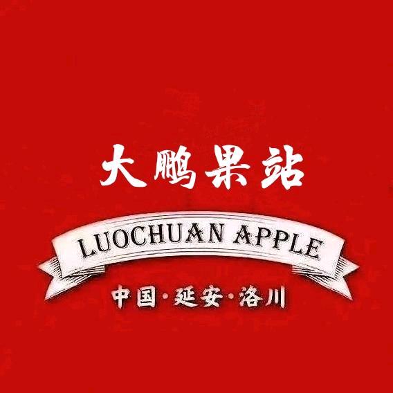 洛川🈚川