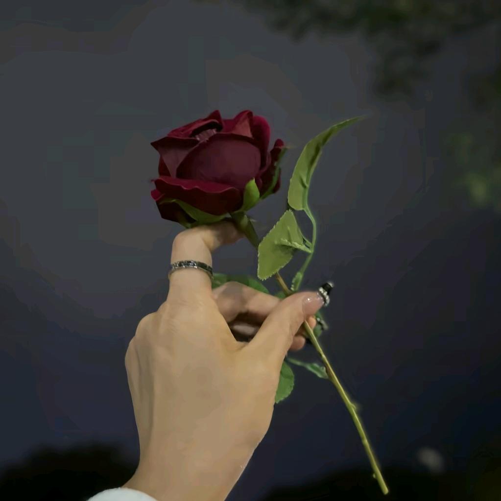 善良  不是笨🎀