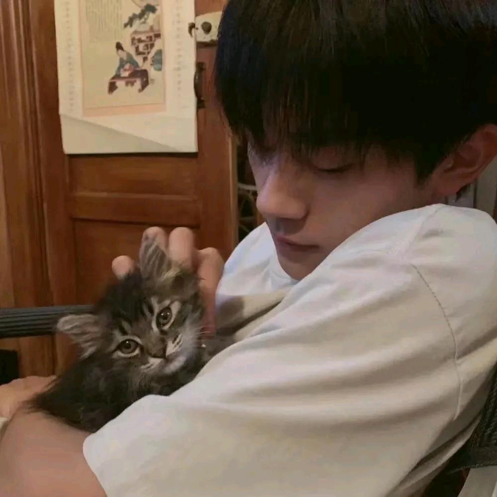 每天都想睡大觉