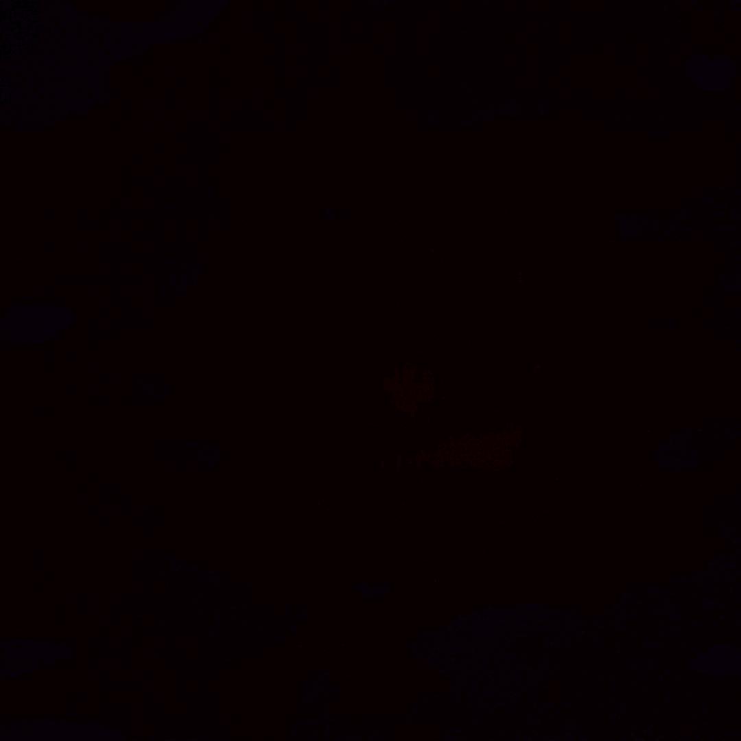 知足者常乐