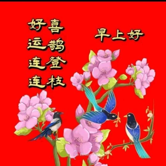 🌹开心