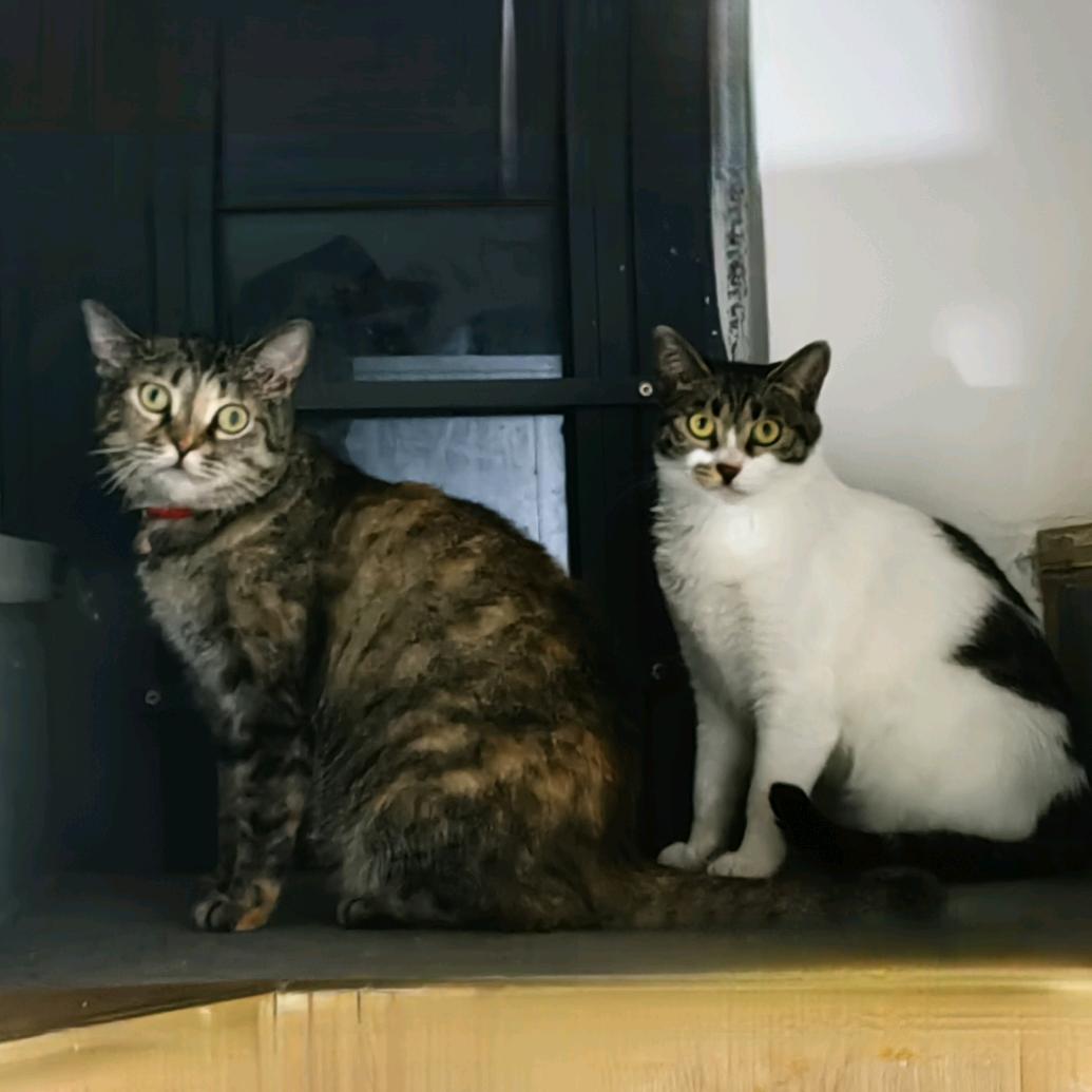 啦啦啦啦🌈🌈🌈🌈