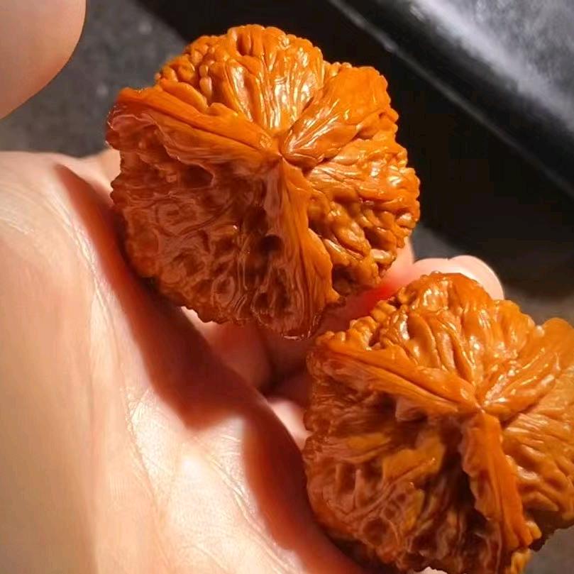 核与伊