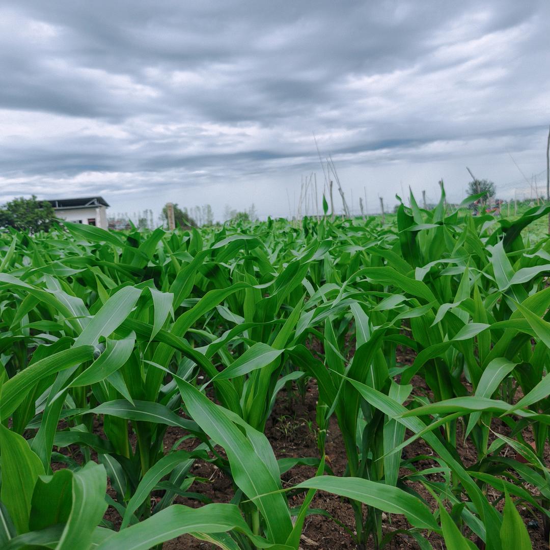 纽纽妈记录生活