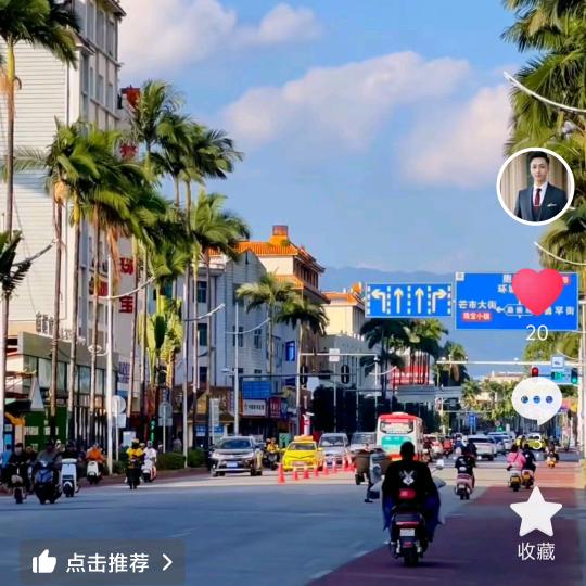 炯炯手工菠菜面