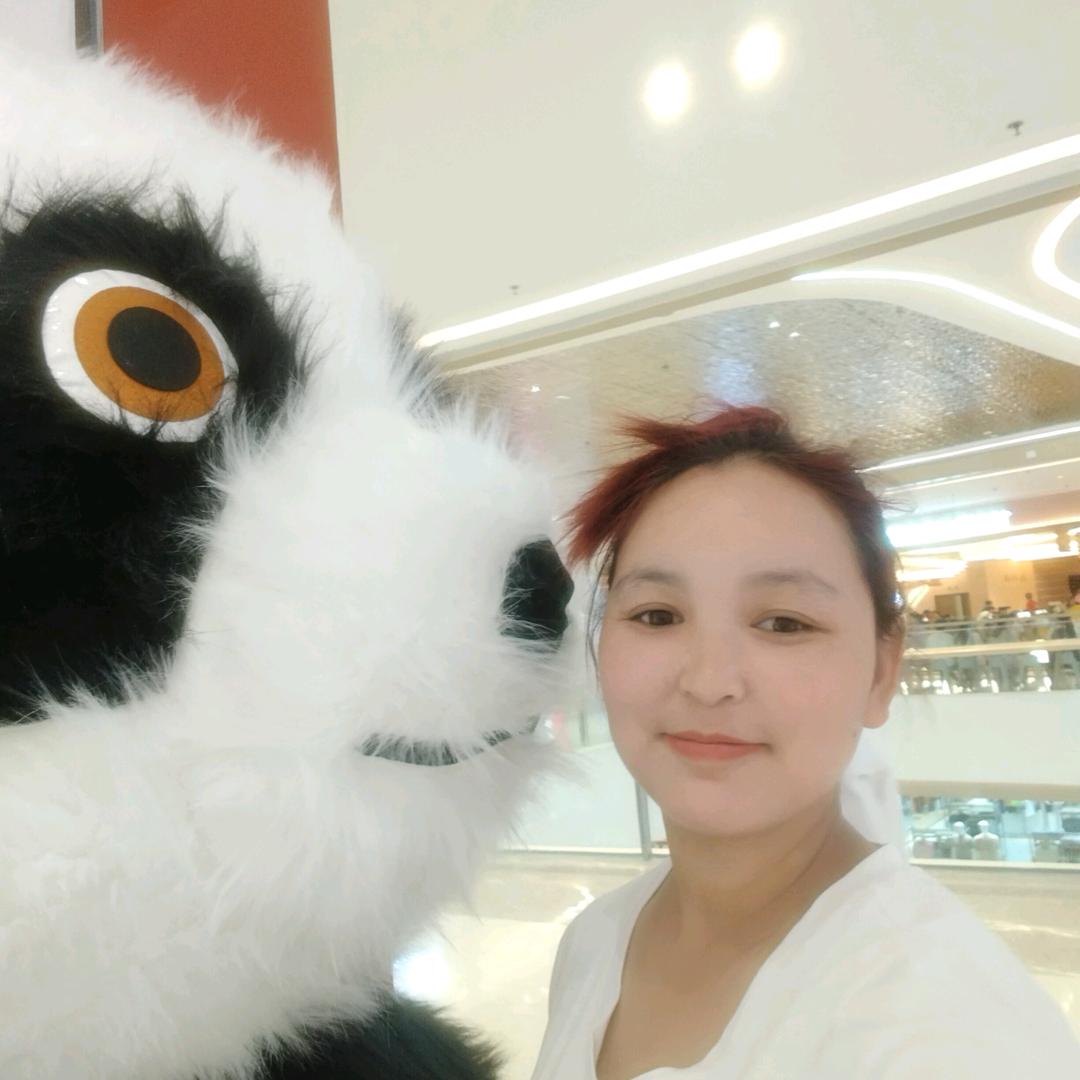 杨小情