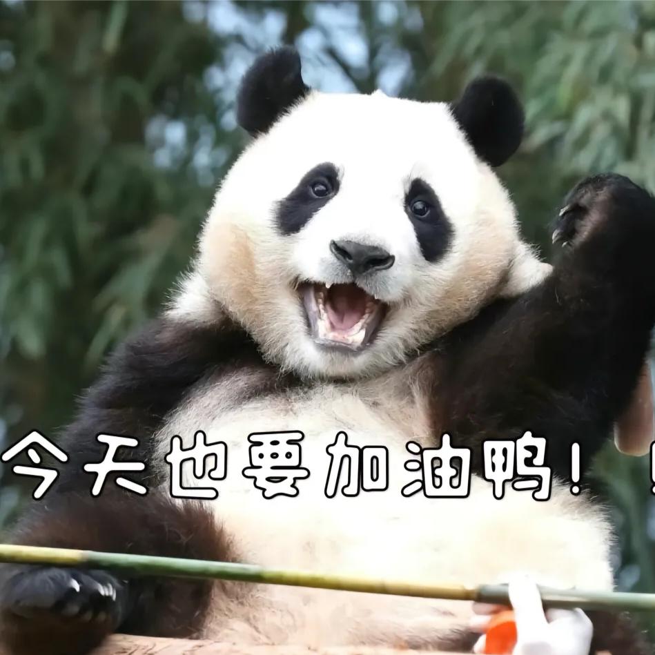 吃货维维头像