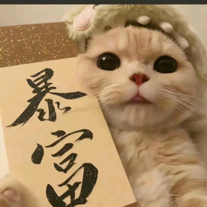 hyz
