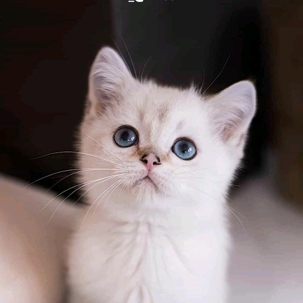 开心快乐每一天就好