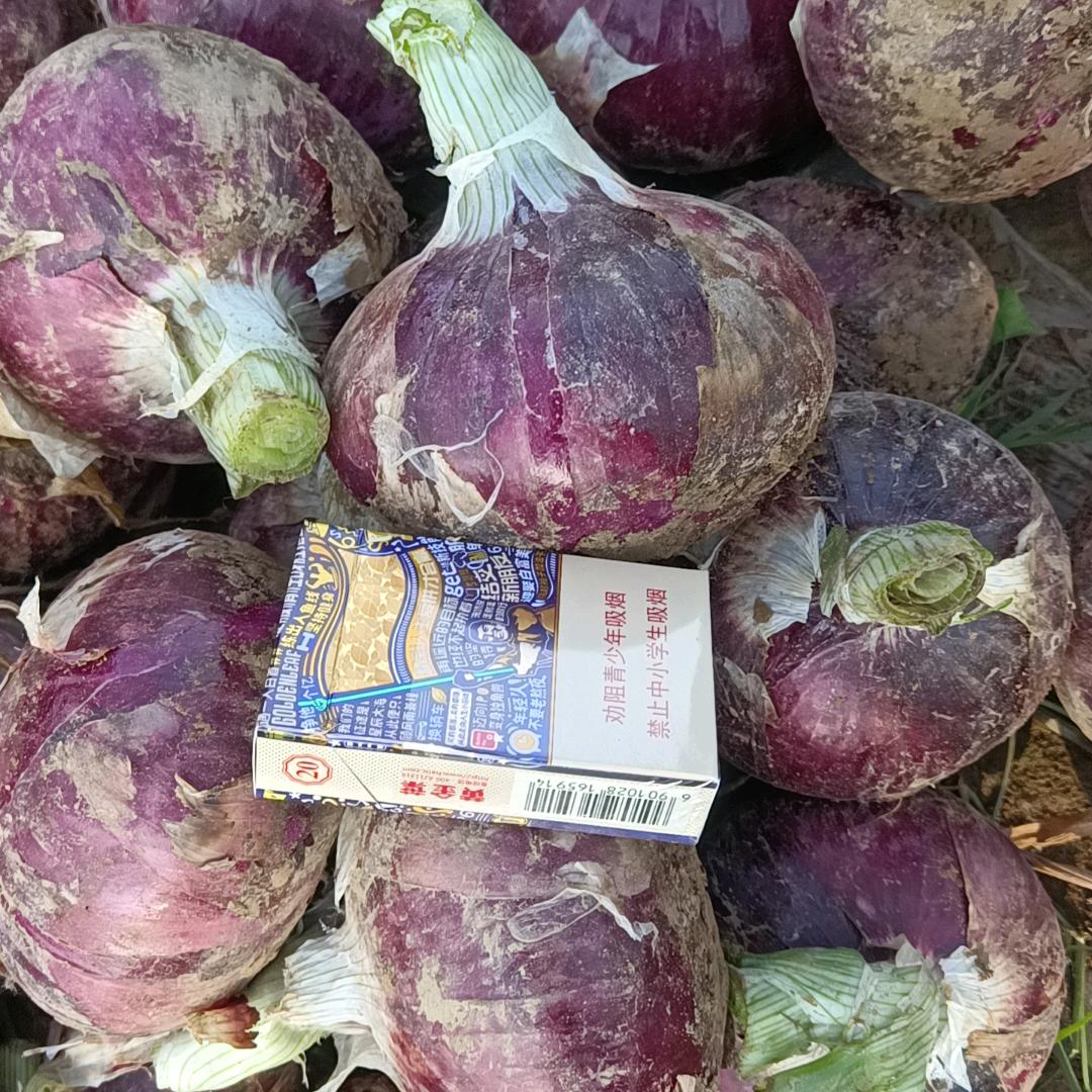 用户9083862650254常学艳