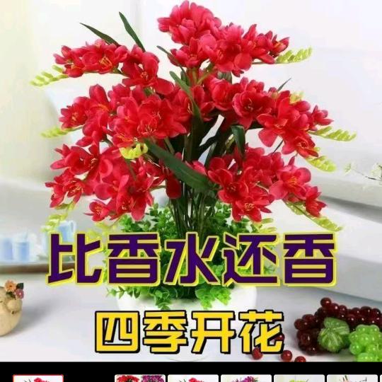 奋力向前